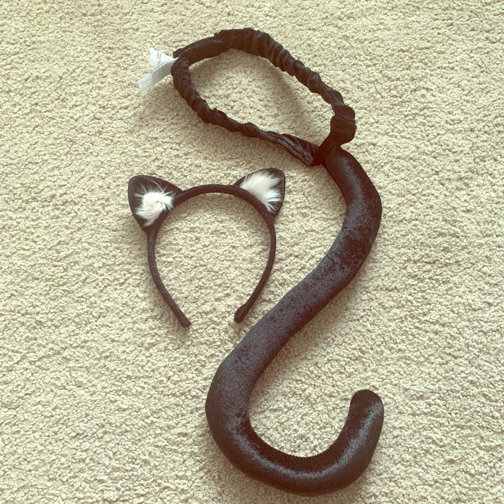 Hanna Anderson Cat Costume